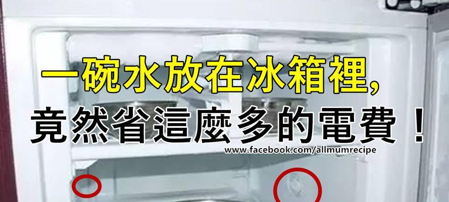 冰箱排水臭味处理方法大揭秘（告别恶臭）