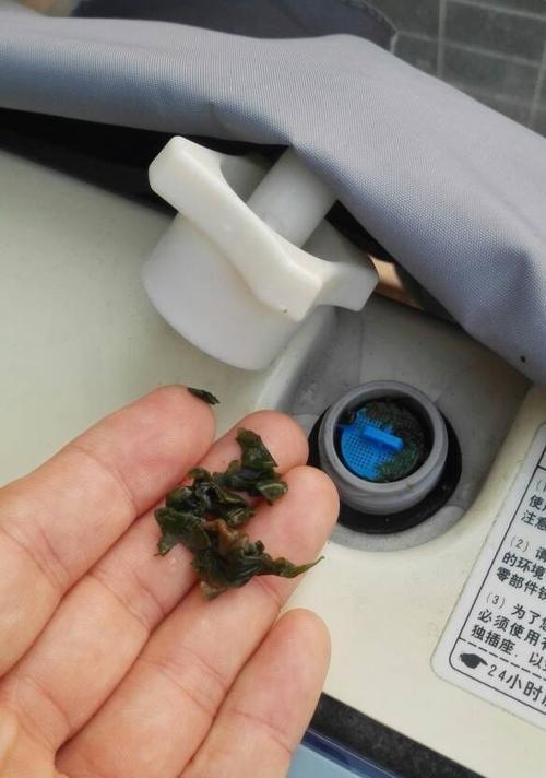 洗衣机管子上的青苔怎么处理（有效清除洗衣机管子上的青苔方法大揭秘）