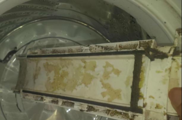 洗衣机管子上的青苔怎么处理（有效清除洗衣机管子上的青苔方法大揭秘）