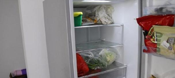 冷藏冰箱臭味处理指南（消除冷藏冰箱异味）