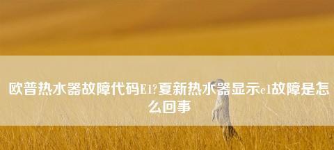 夏普热水器E6故障检修指南（解决E6故障的简易步骤及注意事项）