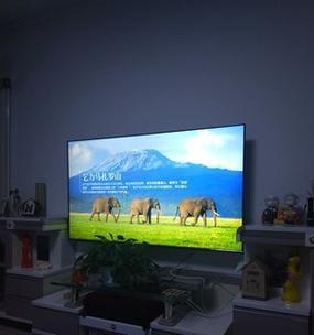 电视机维修指南（了解电视机的常见故障及修理方法）
