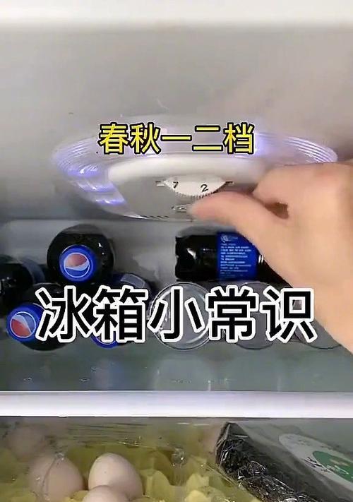 如何快速除冰冰箱（快速除冰冰箱的有效方法和技巧）