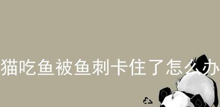 小猫被卡在冰柜里怎么办（救援方法及应对措施）