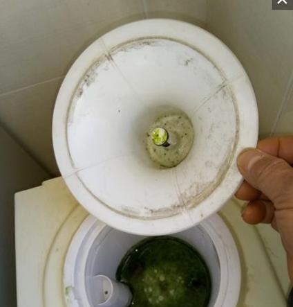 饮水机塑料桶发绿了怎么办？有效清洁方法有哪些？