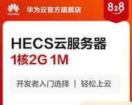 挂机服务器暂停状态的含义是什么？