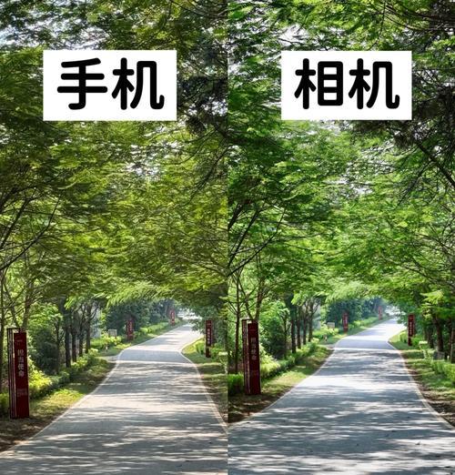 手机如何使用双镜头相机拍照？