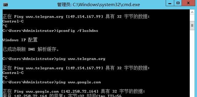 谷歌服务器网络重置的方法是什么？